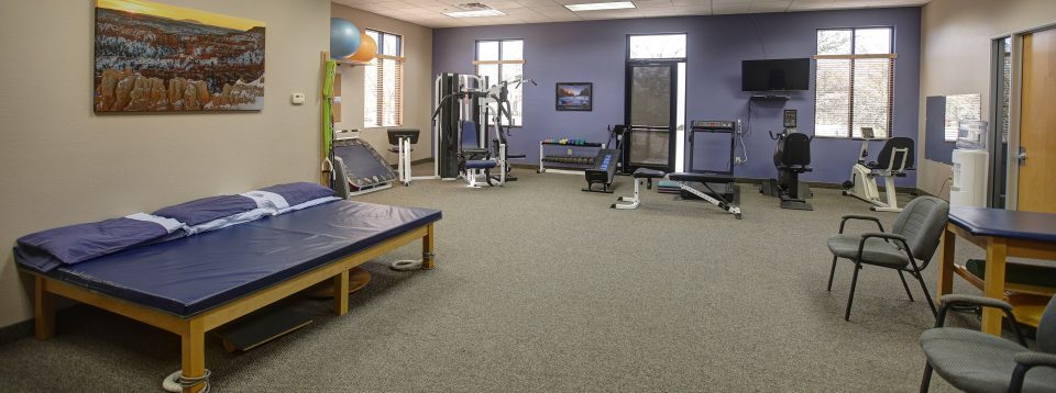 Home Carling Physical Therapy Gilbert
